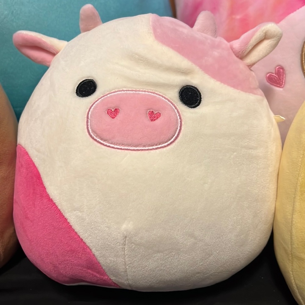 Caedyn. 8 inch valentine’s day squishmallow.